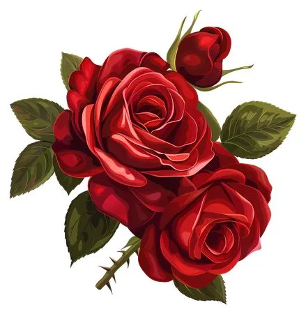 ��ɫõ�廨��PNG���ͼ