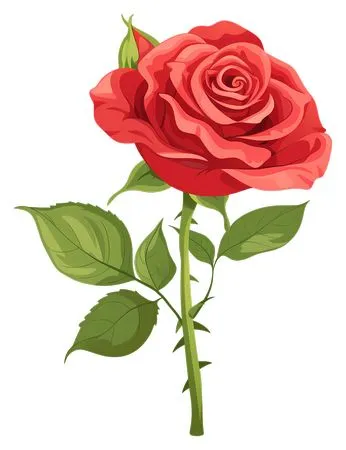 ������ɫõ�廨�廭PNG���ͼ