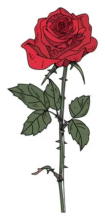 ��ɫõ�廨����ҶPNG���ͼ