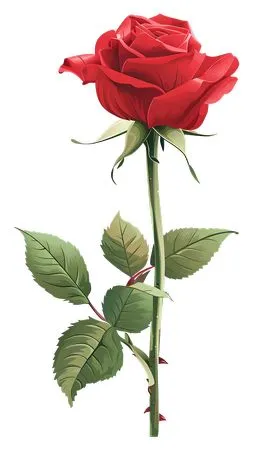 ��ɫõ�廨�ͻ���Ҷ��PNG���ͼ