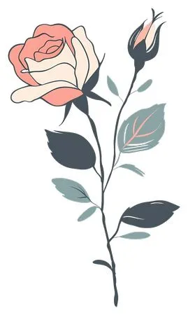 ���ŷ�õ�廨�廭PNG���ͼ