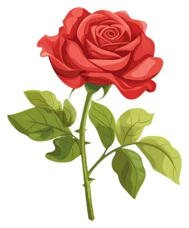 ��ɫõ�廨����ҶPNG���ͼ