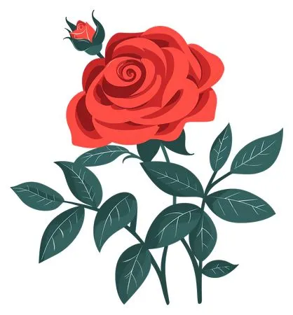 ������ɫõ�廨����ҶPNG���ͼ