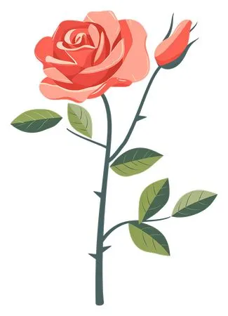 ������ɫõ�廨�廭PNG���ͼ