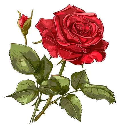 ��ɫõ�廨����ҶPNG���ͼ