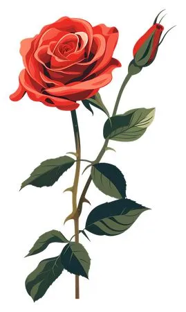 ������ɫõ�廨�廭PNG���ͼ