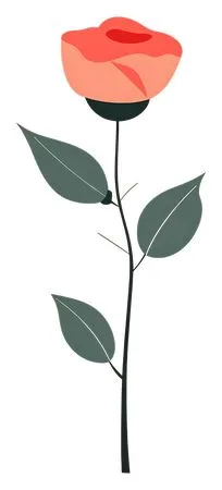 ��ɫõ�廨����ҶPNG���ͼ