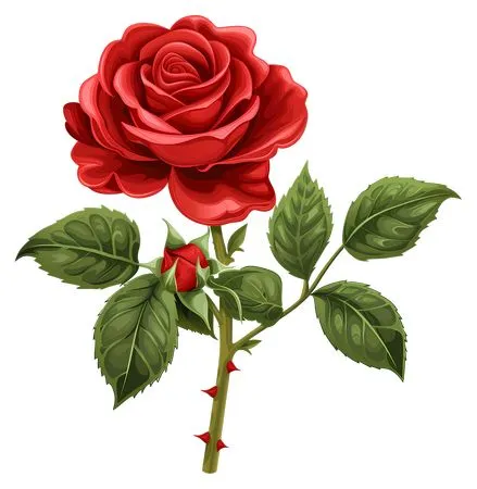 ��ɫõ�廨����Ҷ�廭PNG���ͼ