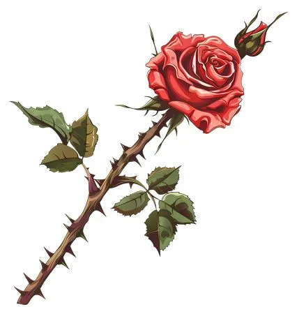 ��ɫõ�廨ʢ��PNG���ͼ