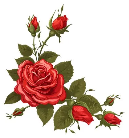 ��ɫõ�廨��Ҷ�Ӳ廭PNG���ͼ