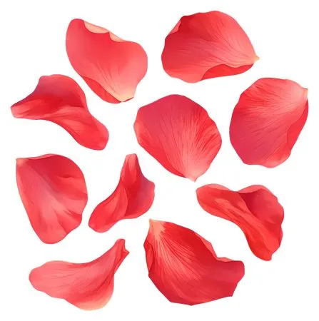 ����װ�κ�ɫ����PNG���ͼ