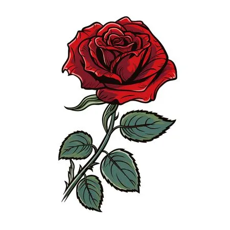 ���ź�ɫõ�廨�廭PNG���ͼ