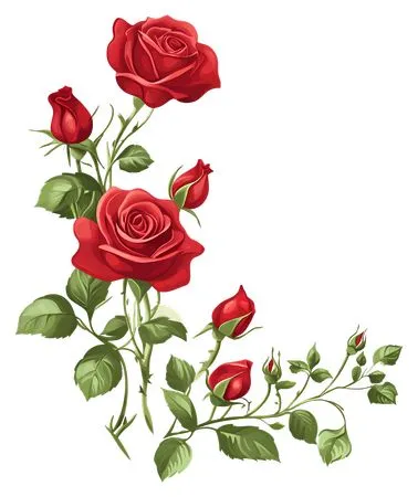 ʢ����ɫõ�廨PNG���ͼ