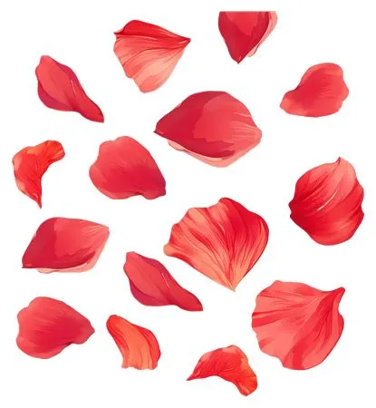 ɢ���ɫõ�廨��PNG���ͼ