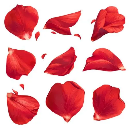 ��ɫ����廭PNG���ͼ