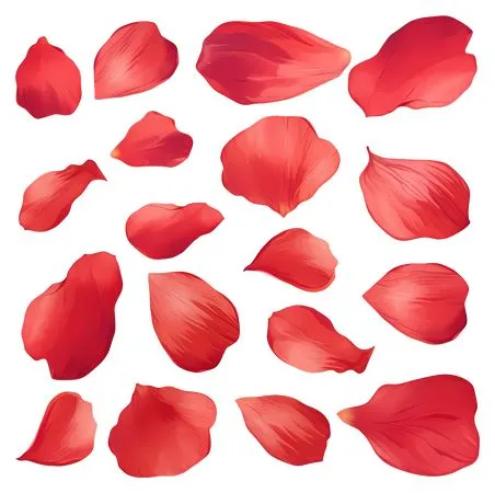 ��ɫ���꼯��PNG���ͼ