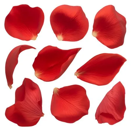 ��ɫ����PNG���ͼ