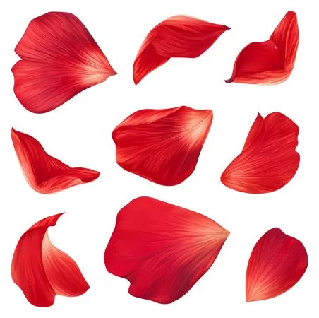 ��ɫ����PNG���ͼ