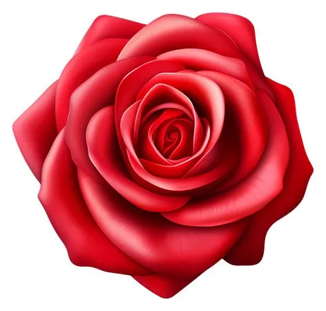 ������ɫõ�廨�廭PNG���ͼ