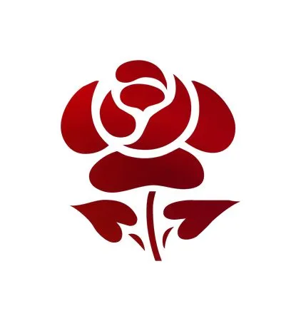 ��ɫõ�廨�廭PNG���ͼ