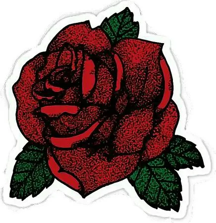 ������ɫõ�廨PNG���ͼ