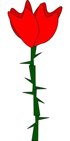 ��ɫõ�廨PNG���ͼ