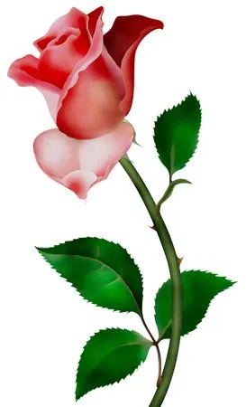 ������ɫõ�廨���̾�PNG���ͼ