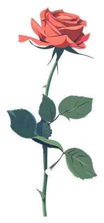 �����ɫõ�廨�廭PNG���ͼ