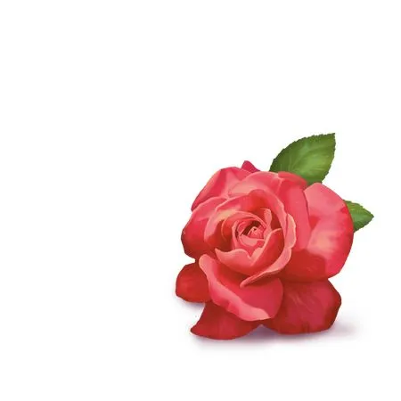 ������ɫõ�廨ʢ��PNG���ͼ