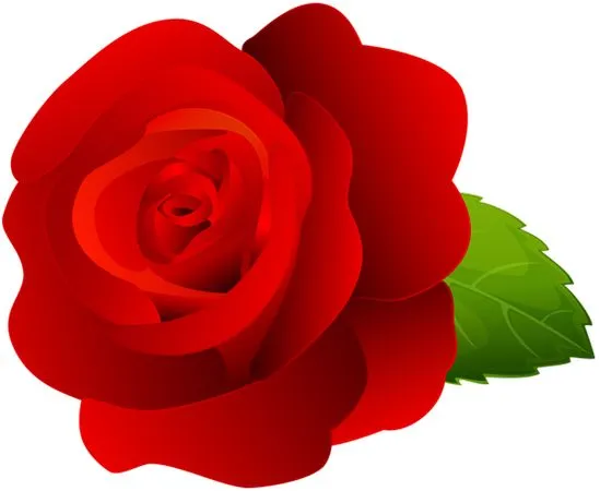 ��ɫõ�廨��ϸ�ڻ����Ҷ��PNG���ͼ