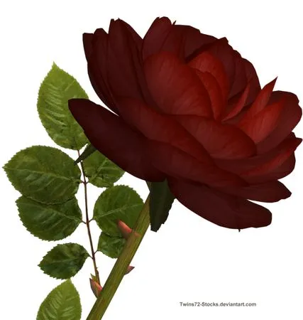 ��ɫõ�廨����ҶPNG���ͼ