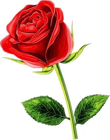 ������ɫõ�廨�廭PNG���ͼ