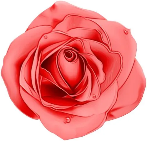 ��ɫõ�廨��ϸ�ڻ���PNG���ͼ