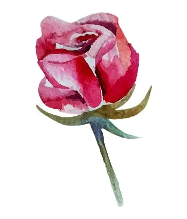 ��ɫõ�廨ˮ�ʲ廭PNG���ͼ