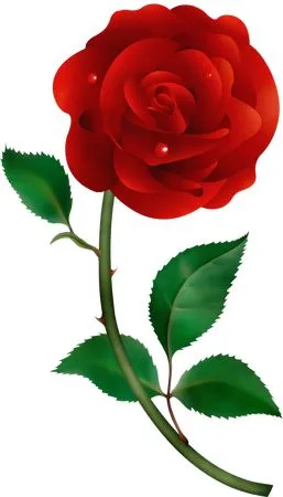 ������ɫõ�廨���̾���ҶPNG���ͼ