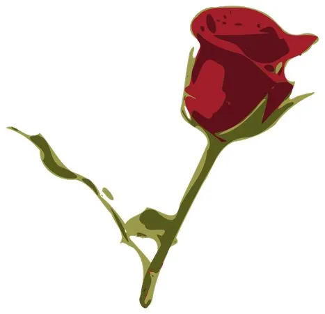 ���������ɫõ�廨�廭PNG���ͼ