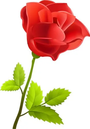 ������ɫõ�廨����ҶPNG���ͼ