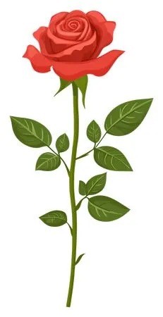 ��ɫõ�廨����Ҷ�廭PNG���ͼ