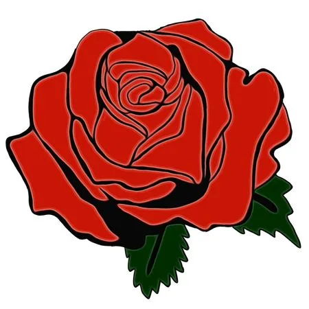 ������ɫõ�廨�廭PNG���ͼ