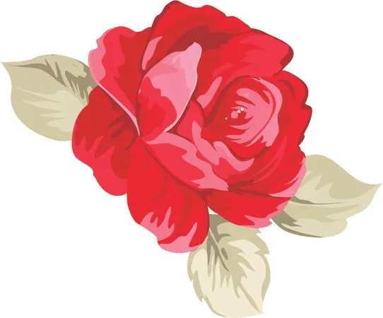 ���޺�ɫõ�廨�廭PNG���ͼ