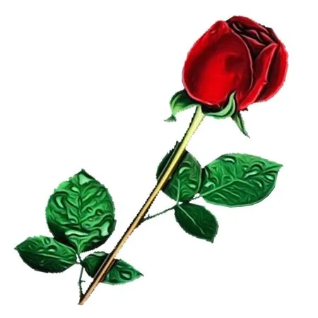 дʵ��ɫõ�廨����ҶPNG���ͼ