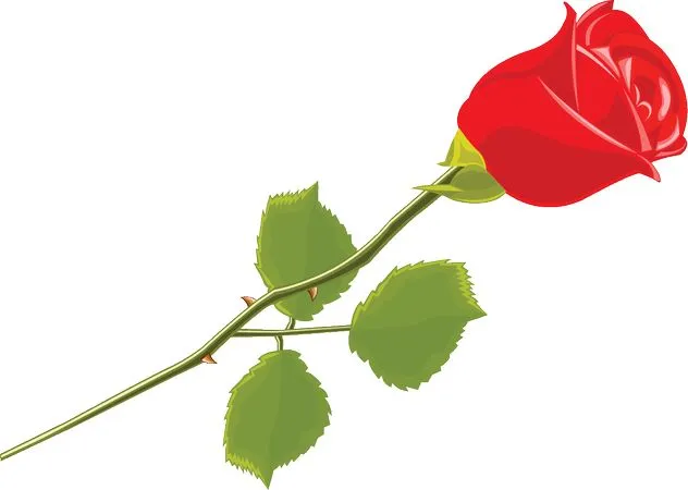 ������ɫõ�廨��PNG���ͼ