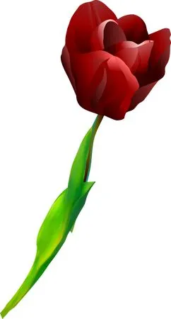 �������񵥶��ɫõ�廨PNG���ͼ