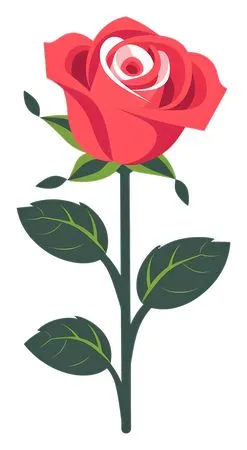 �����ɫõ�廨�廭PNG���ͼ