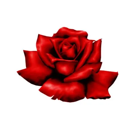 ��ɫõ�廨ʢ���廭PNG���ͼ