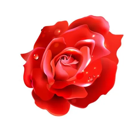 ��ɫõ�廨��ϸ�ڻ���PNG���ͼ