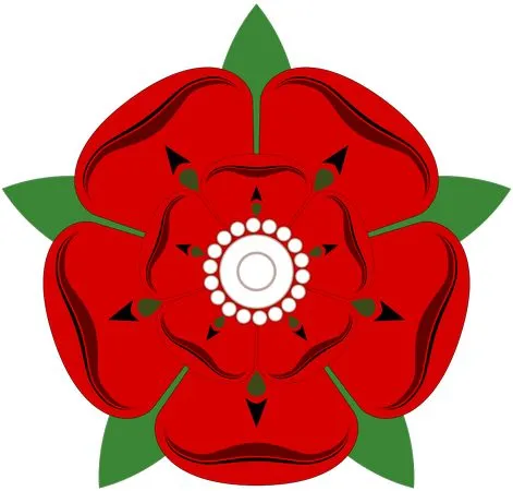 ��ɫõ�廨����Ҷ����PNG���ͼ