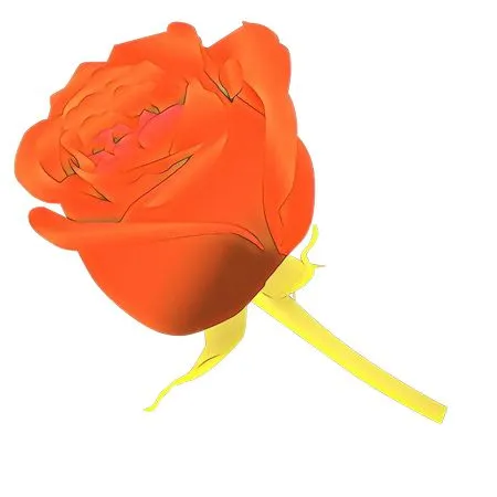 �����ɫõ�廨�廭PNG���ͼ