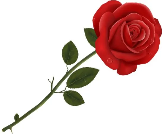 ������ɫõ�廨����ҶPNG���ͼ