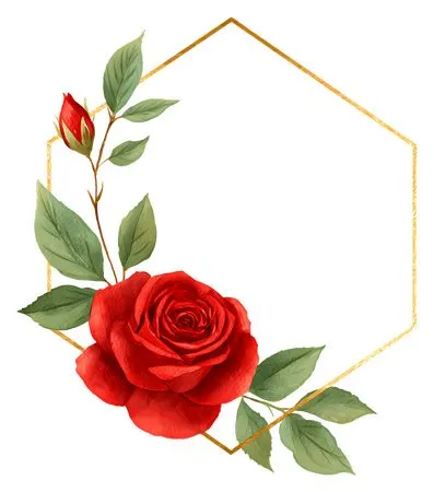 ��ɫõ�廨�������ο��PNG���ͼ